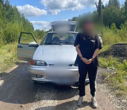 Молодую жительницу Карелии задержали в Ленобласти – девушке грозит пожизненный срок