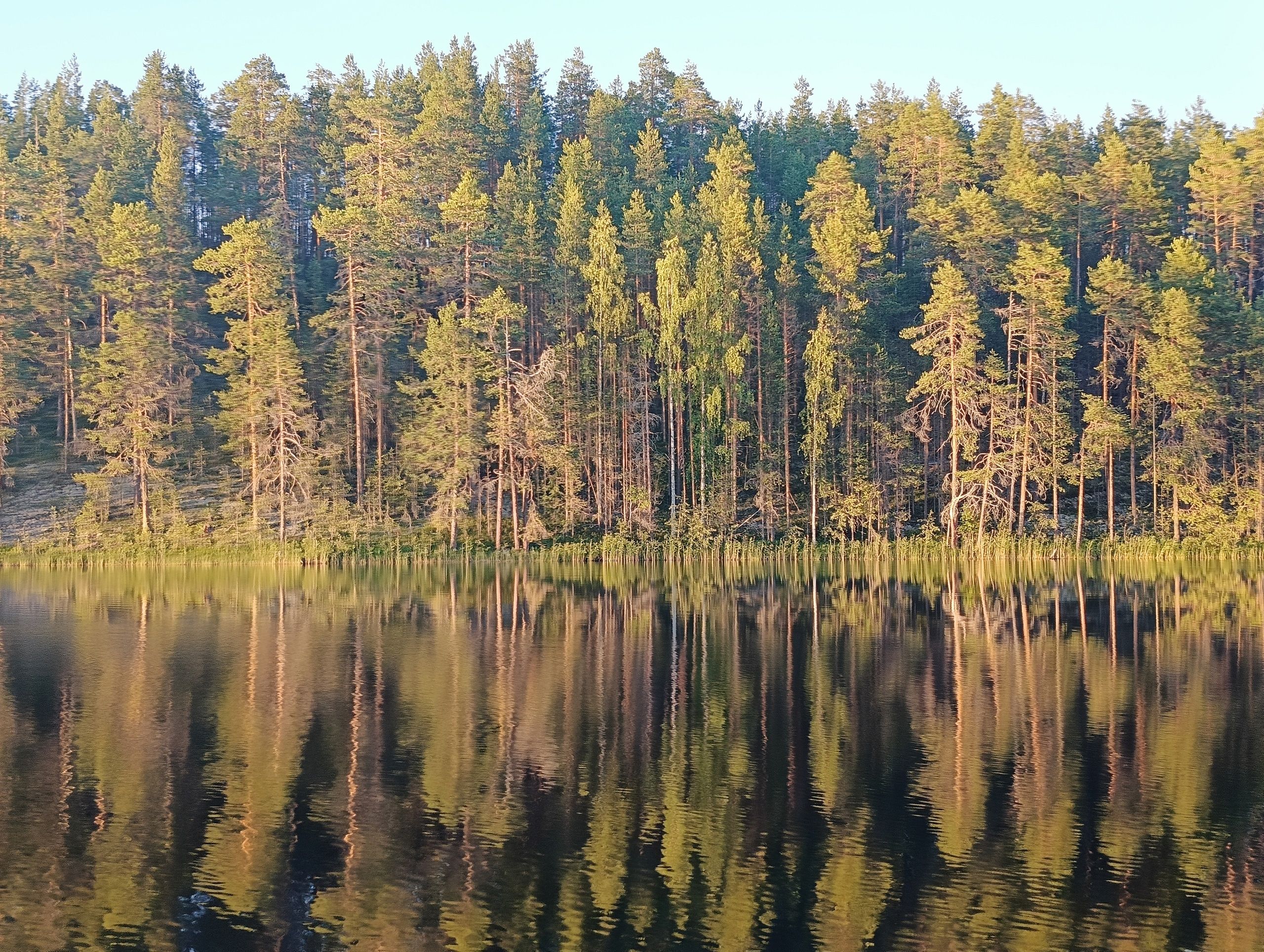 Лето не уходит: прогноз погоды на 5 сентября