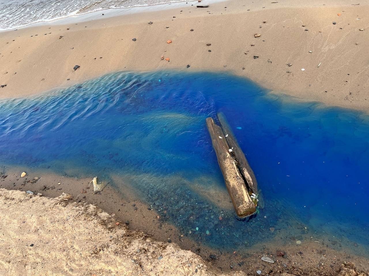 «Нарушений не выявлено». Городские чиновники прокомментировали информацию о посиневшем Онего