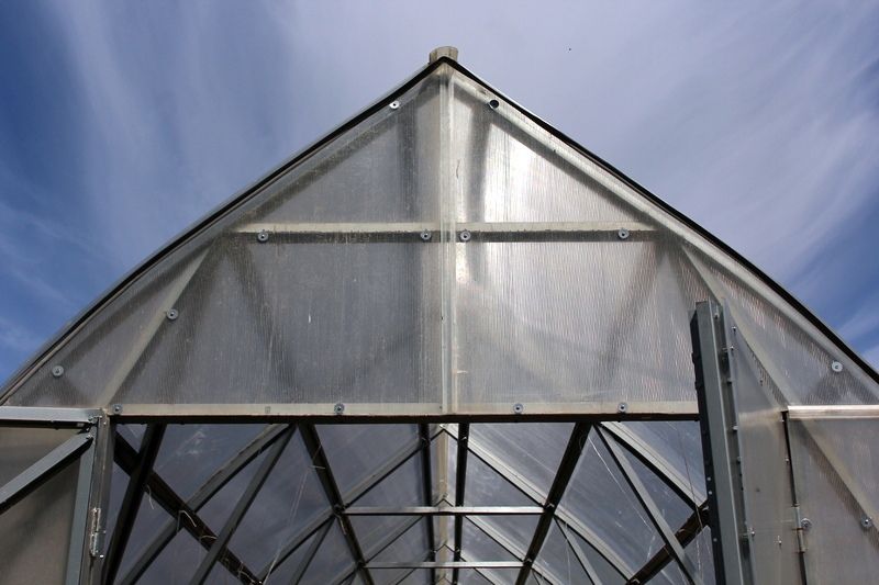 Петрозаводчанину грозит до трех лет тюрьмы за урожай на даче