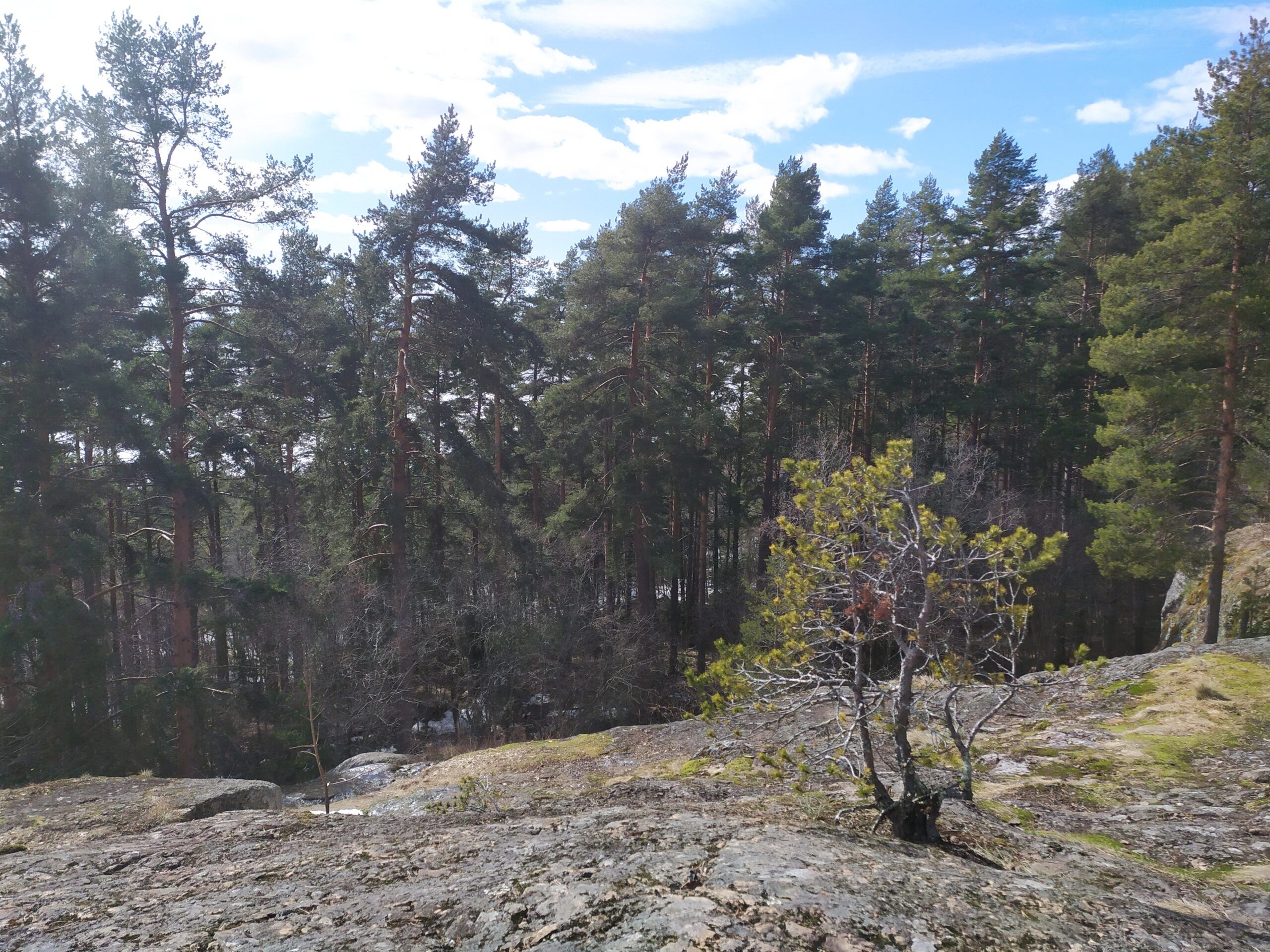 Посетителей «Чертова стула» просят воздержаться от пикников