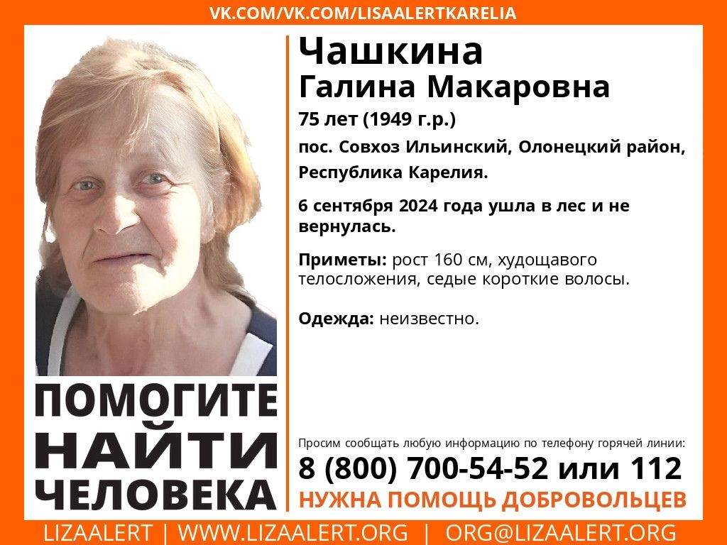 В Карелии пожилая женщина ушла в лес и пропала