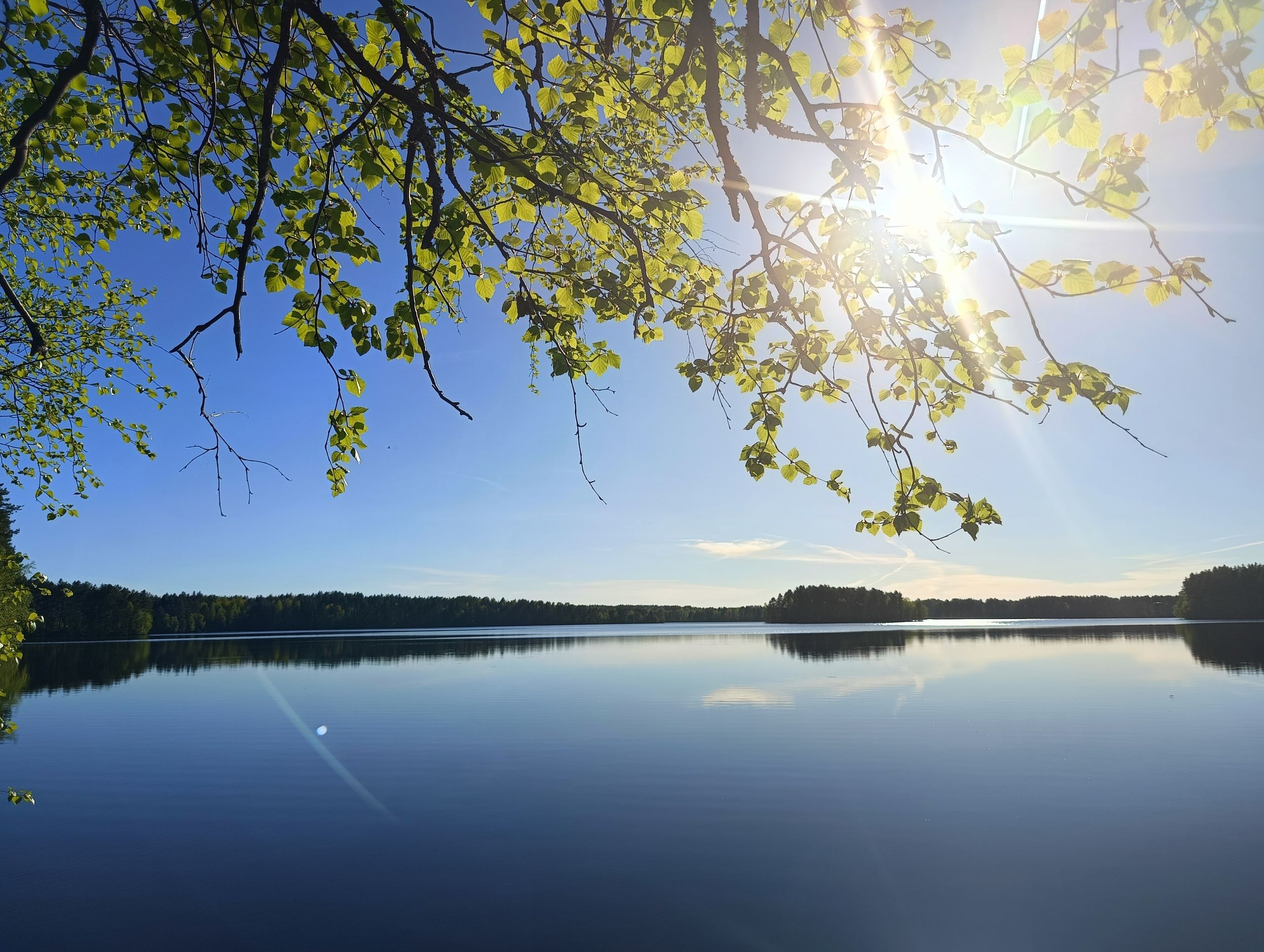 Местами до +27. Прогноз погоды в Карелии на День знаний