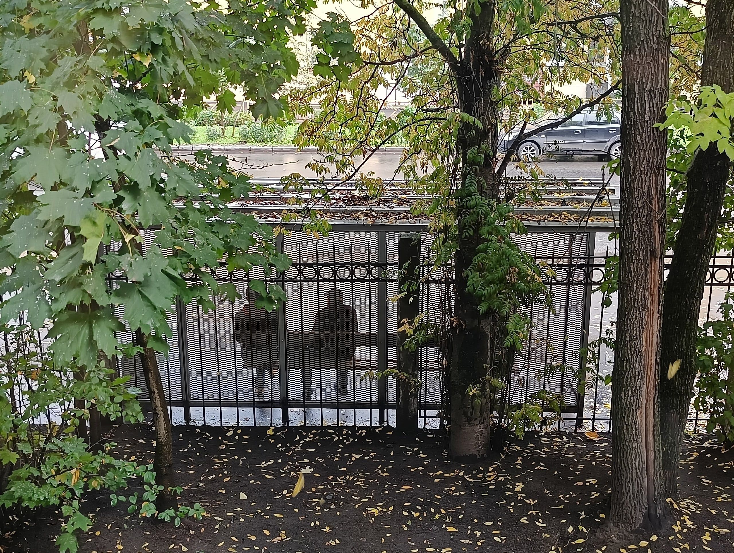 Идут дожди. Прогноз погоды в Карелии на 26 сентября