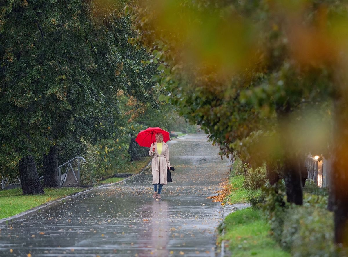 На Карелию надвигаются циклоны с дождями