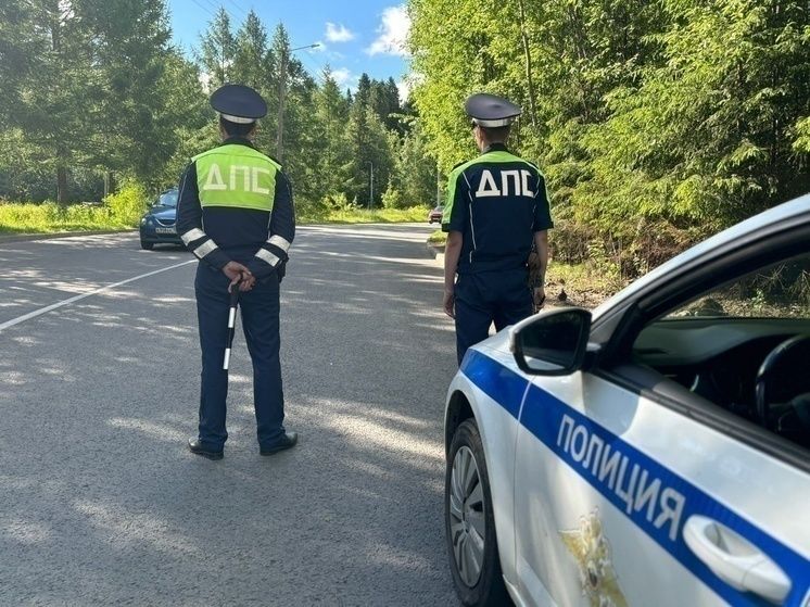 Нарушитель дорожного спокойствия в Петрозаводске обратился к водителям