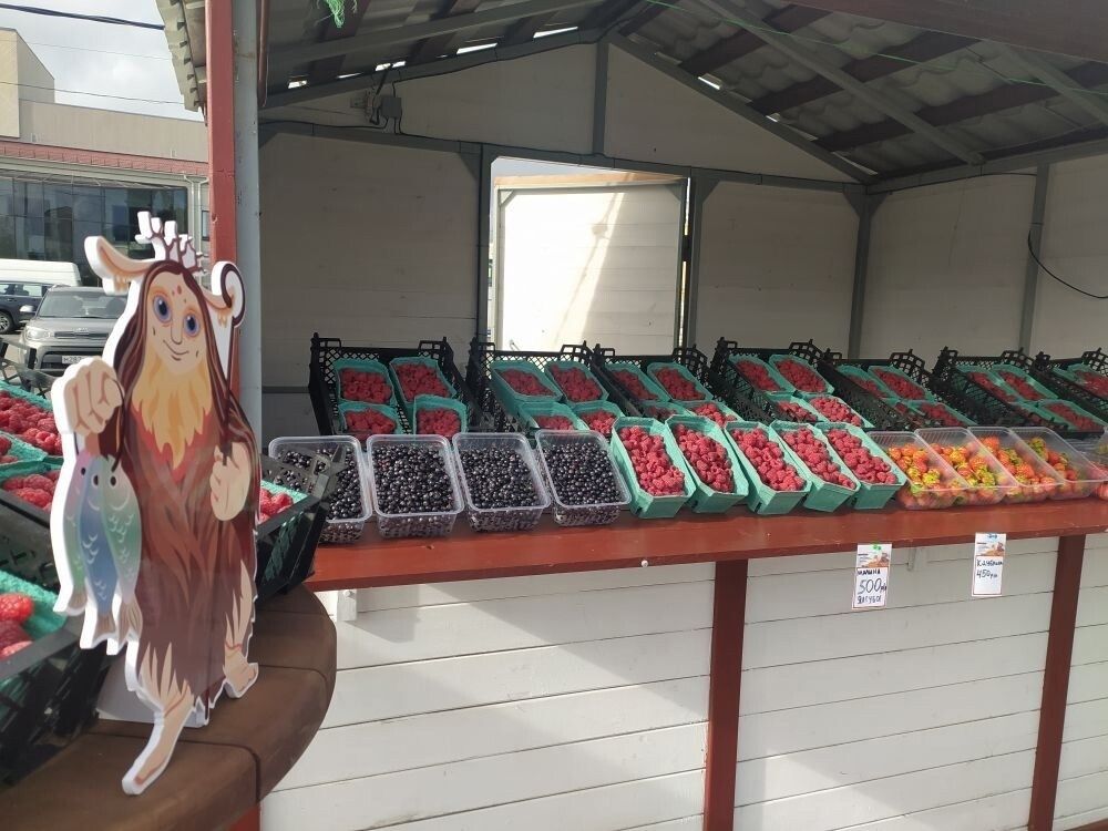 Ярмарка в честь дня урожая пройдет в Петрозаводске