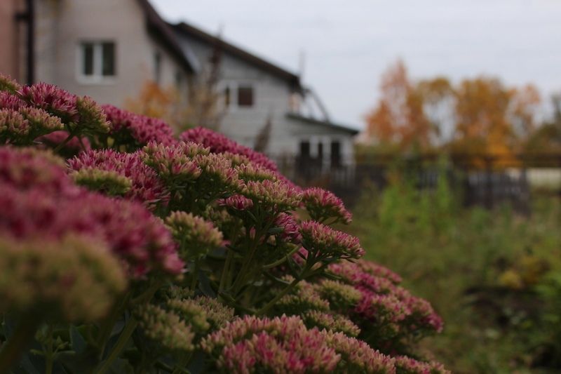 Последние капли тепла: прогноз погоды на 19 сентября