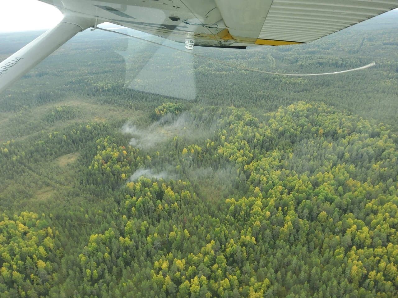 На тушение пожара на трассе «Фонтаны» около Петрозаводска бросили дополнительные силы