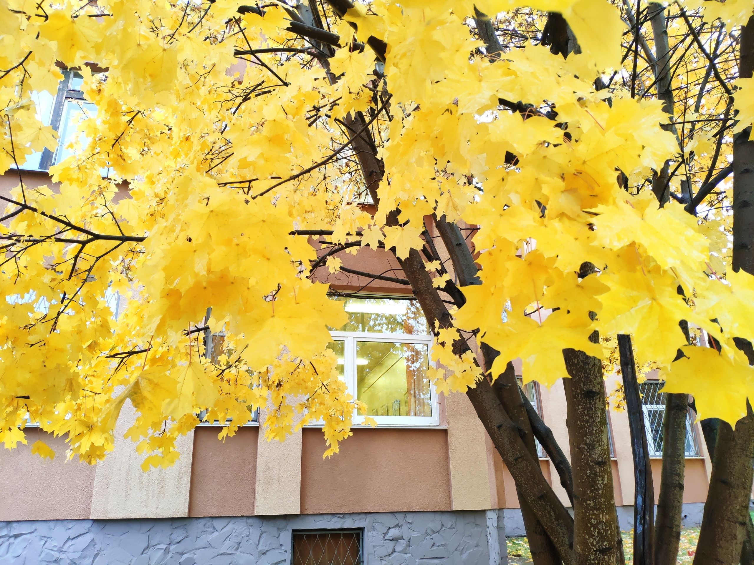 Последние штрихи лета. Прогноз погоды в Карелии на 18 сентября