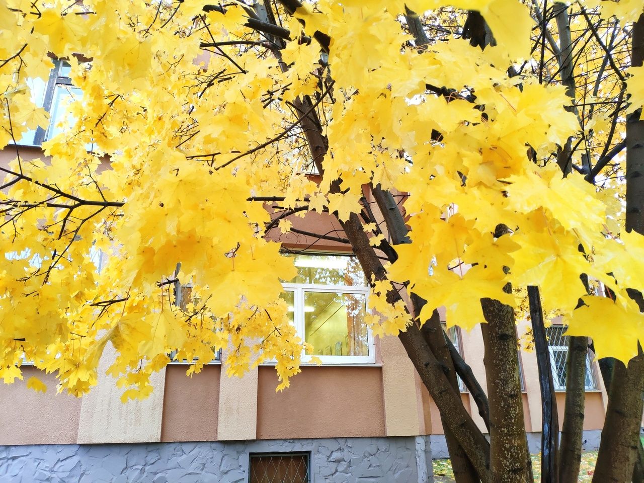 Облачно с прояснениями. Прогноз погоды на 29 сентября