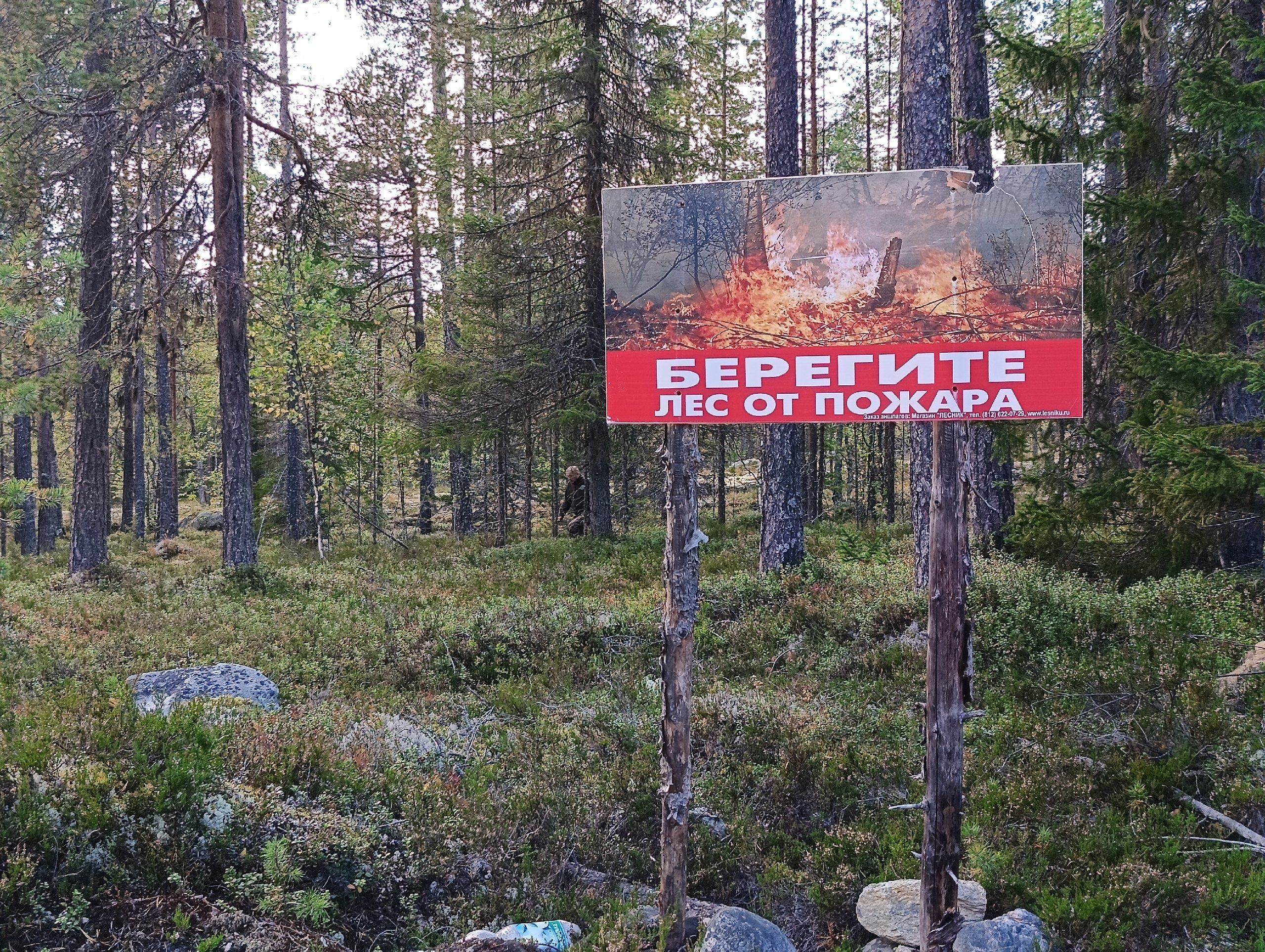 В Карелии продлен режим ограничения пребывания граждан в лесах