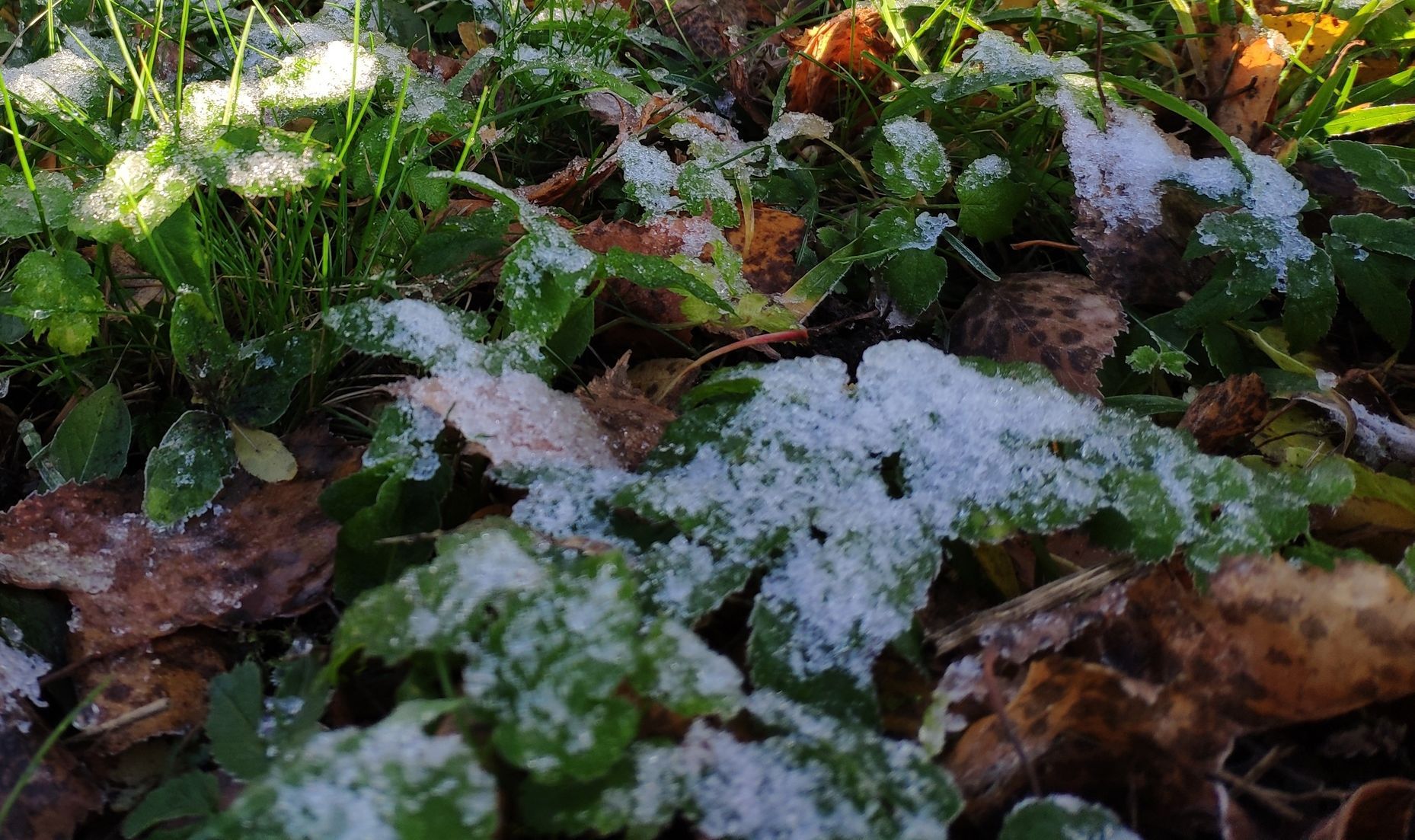 Ночью минус, днем до плюс 18. Прогноз погоды в Карелии на 24 сентября