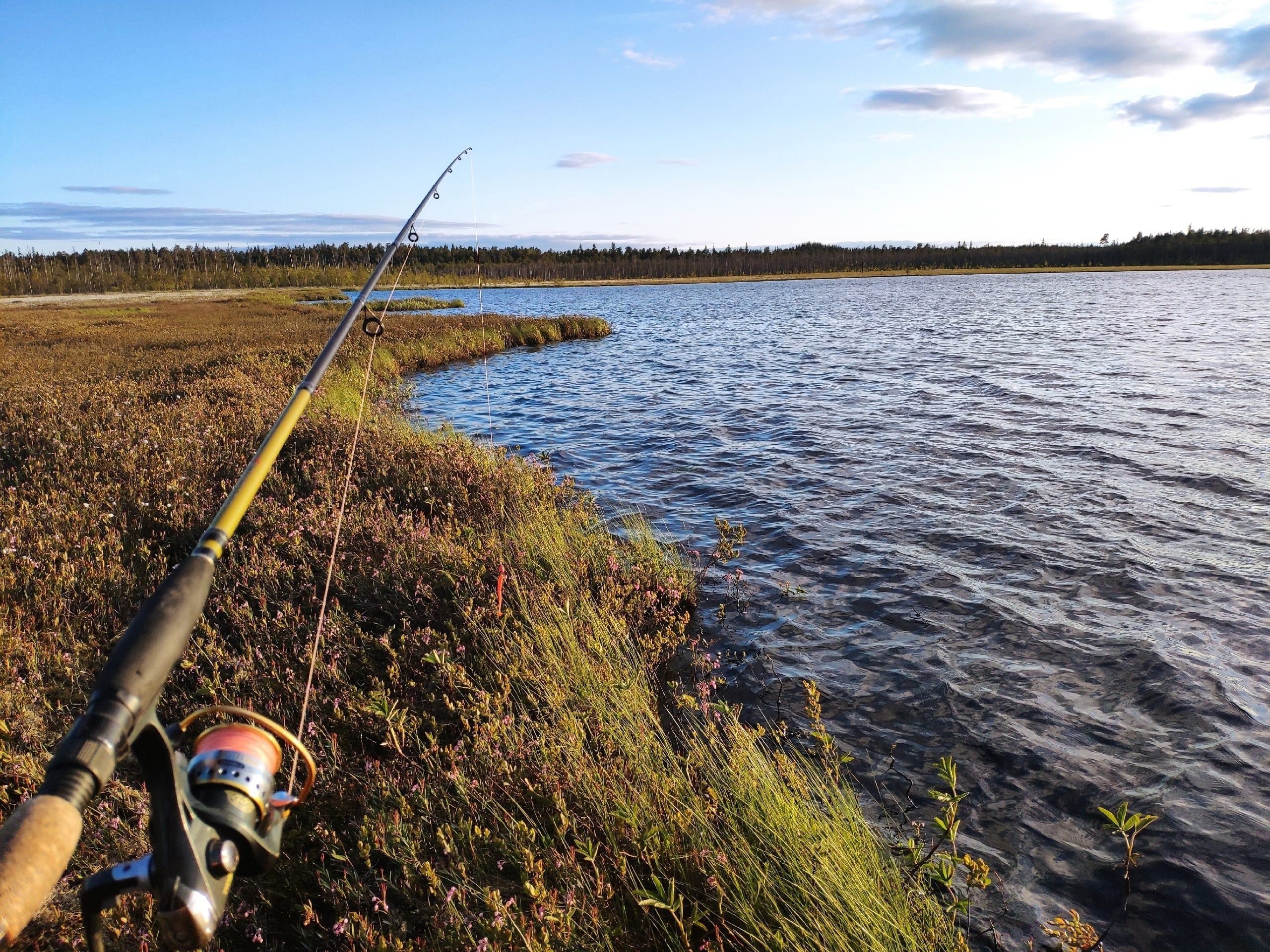 В карельском заповеднике задержали рыбаков-браконьеров