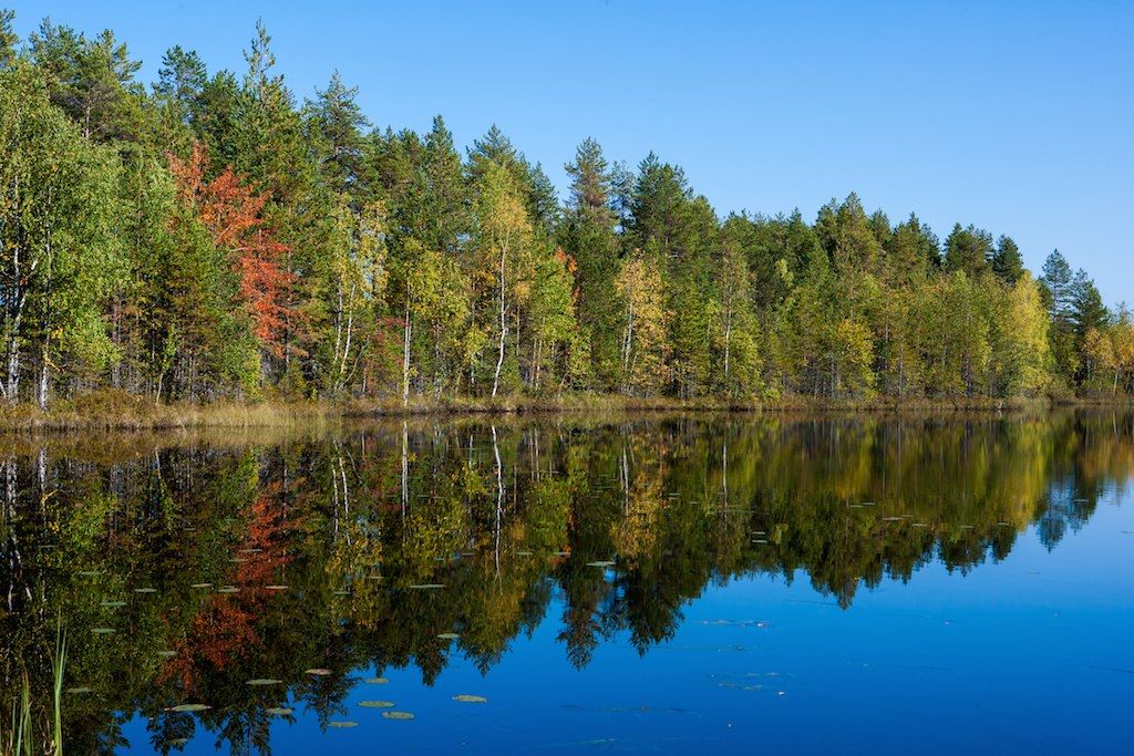 Синоптики рассказали, когда в Россию придет бабье лето