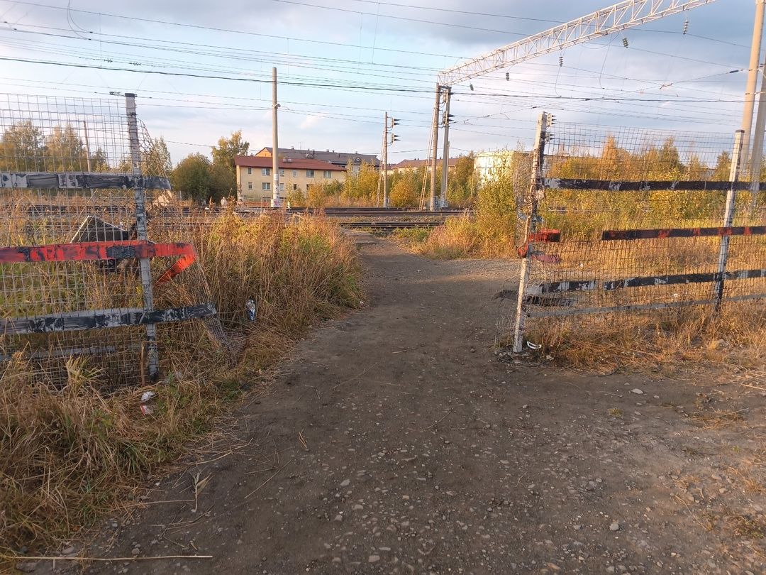 Железнодорожники обратились в мэрию с просьбой рассмотреть возможность строительства моста в районе Голиковки