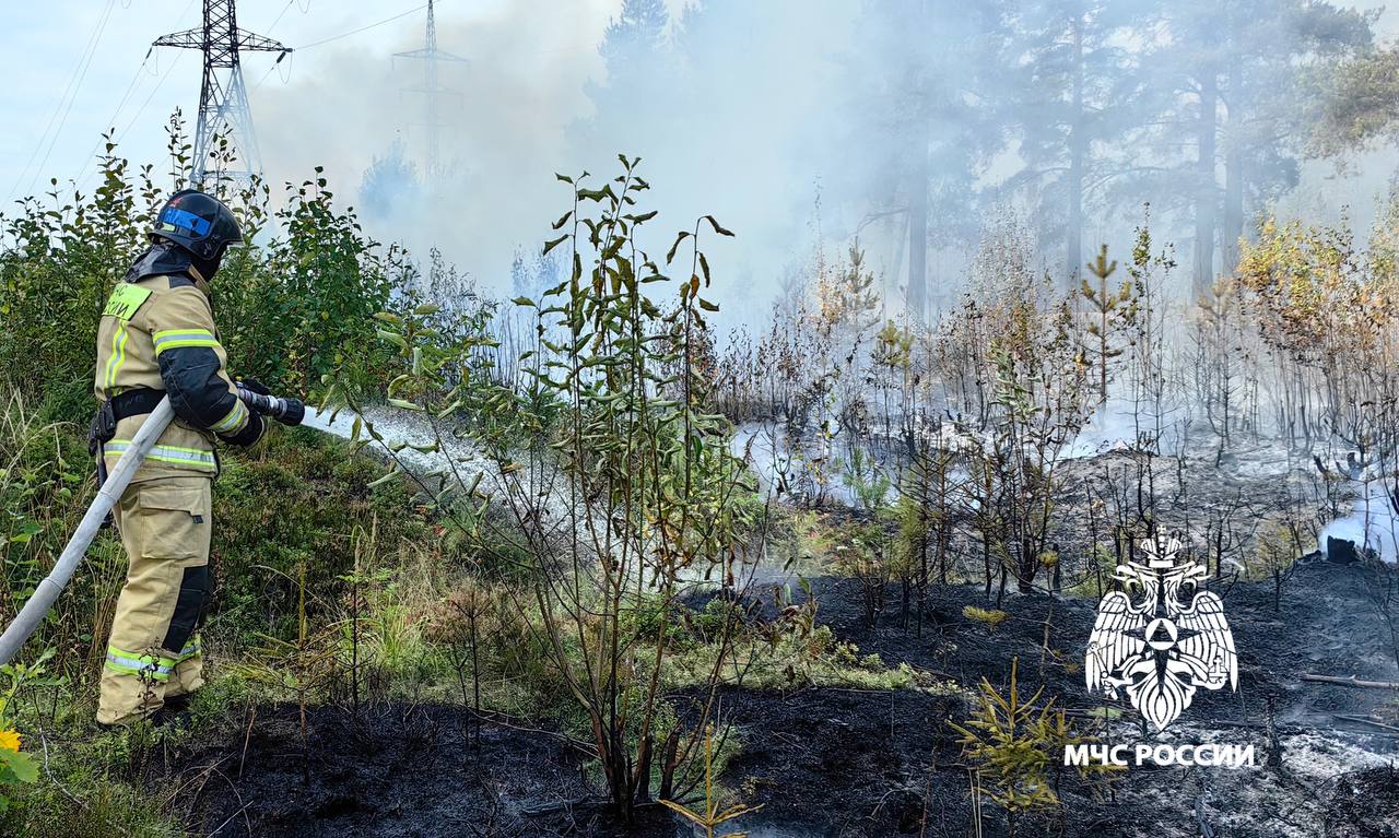 Более 30 пожарных тушили лесной пожар на окраине Петрозаводска