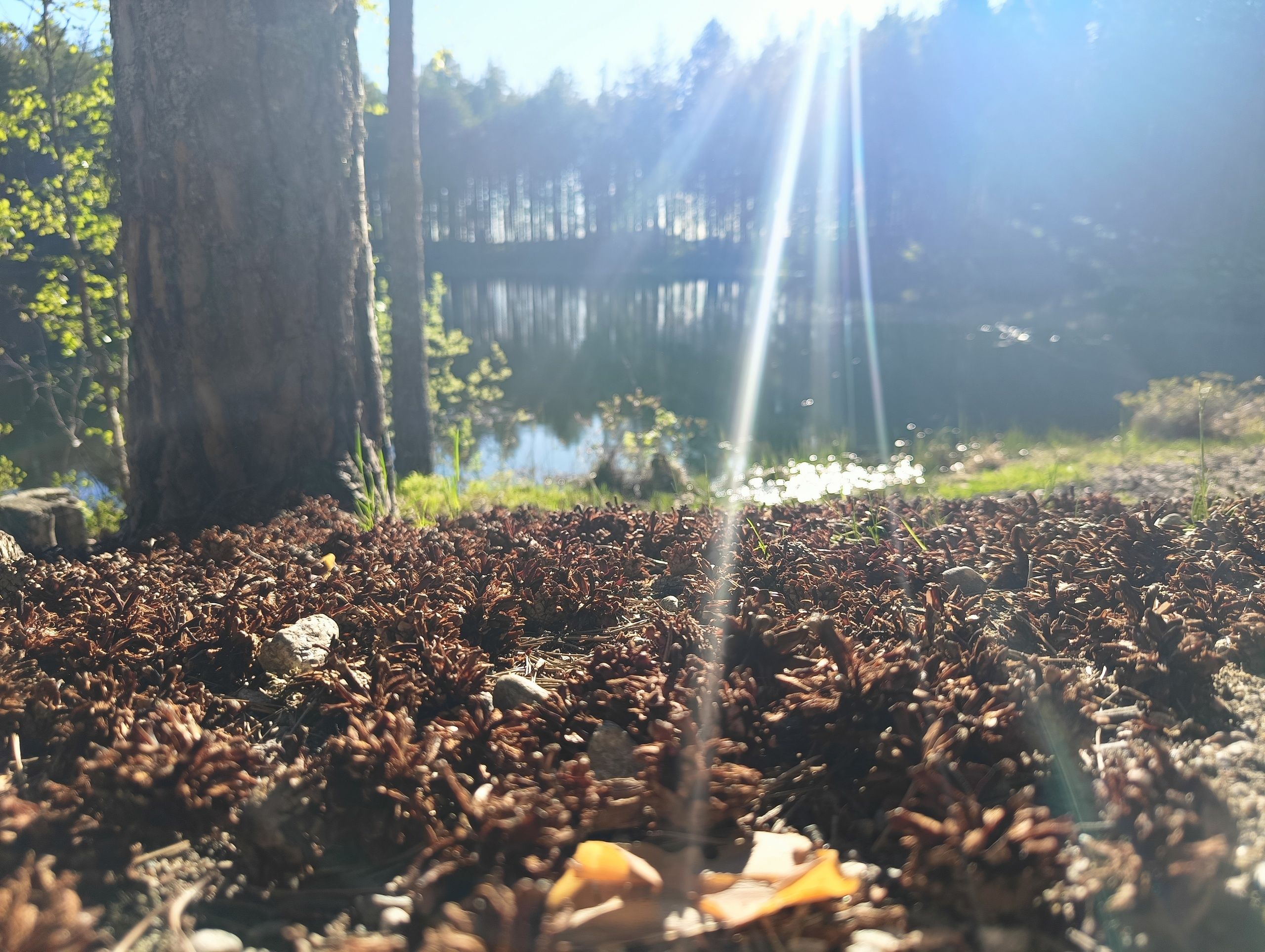 До +26°С: прогноз погоды на 14 сентября