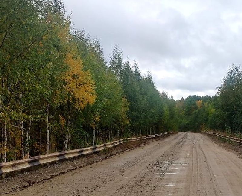 Женщина с двумя детьми получили травмы в аварии на дороге в Карелии