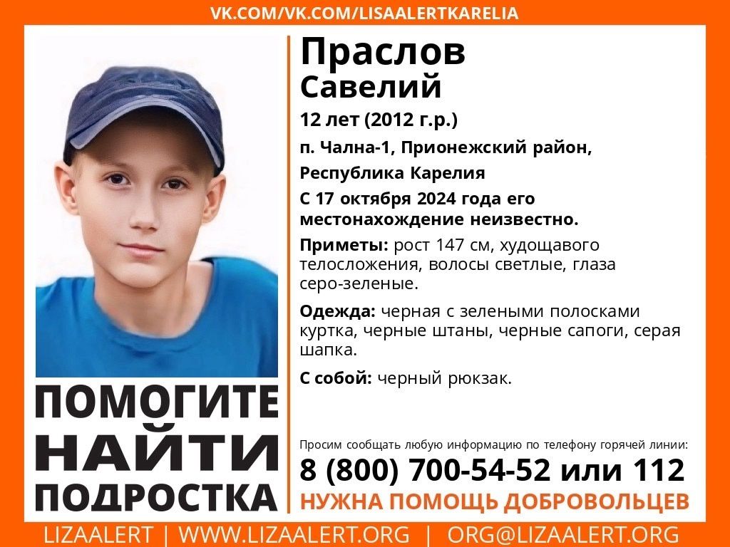 В Карелии разыскивают 12-летнего мальчика