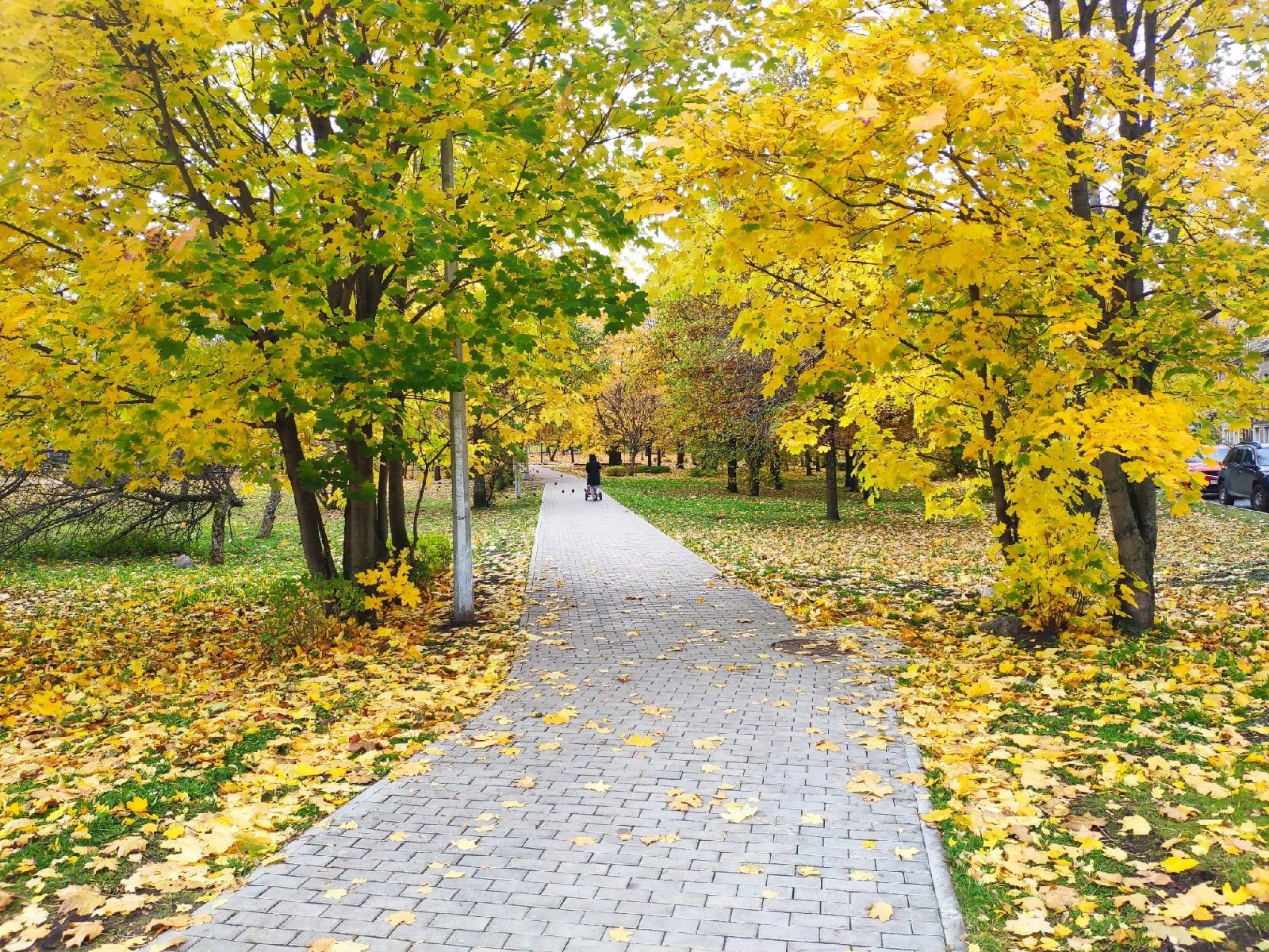 На юге Карелии местами до +12°С: прогноз погоды на 6 октября