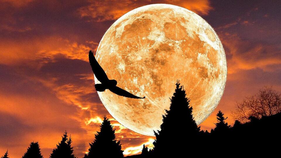 17 ноября в небе можно наблюдать Суперлуние