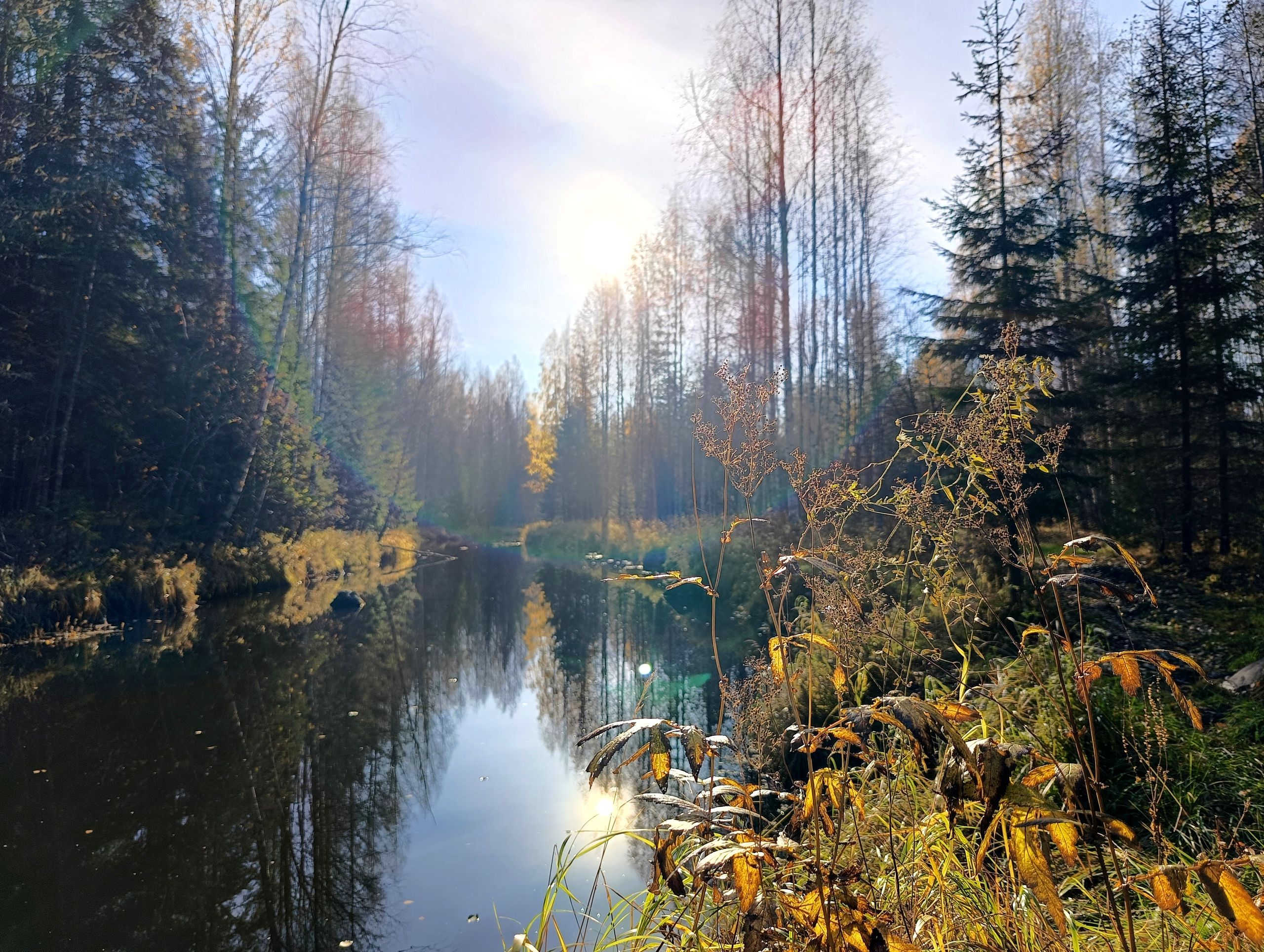 Днем до +13. Прогноз погоды в Карелии на 22 октября