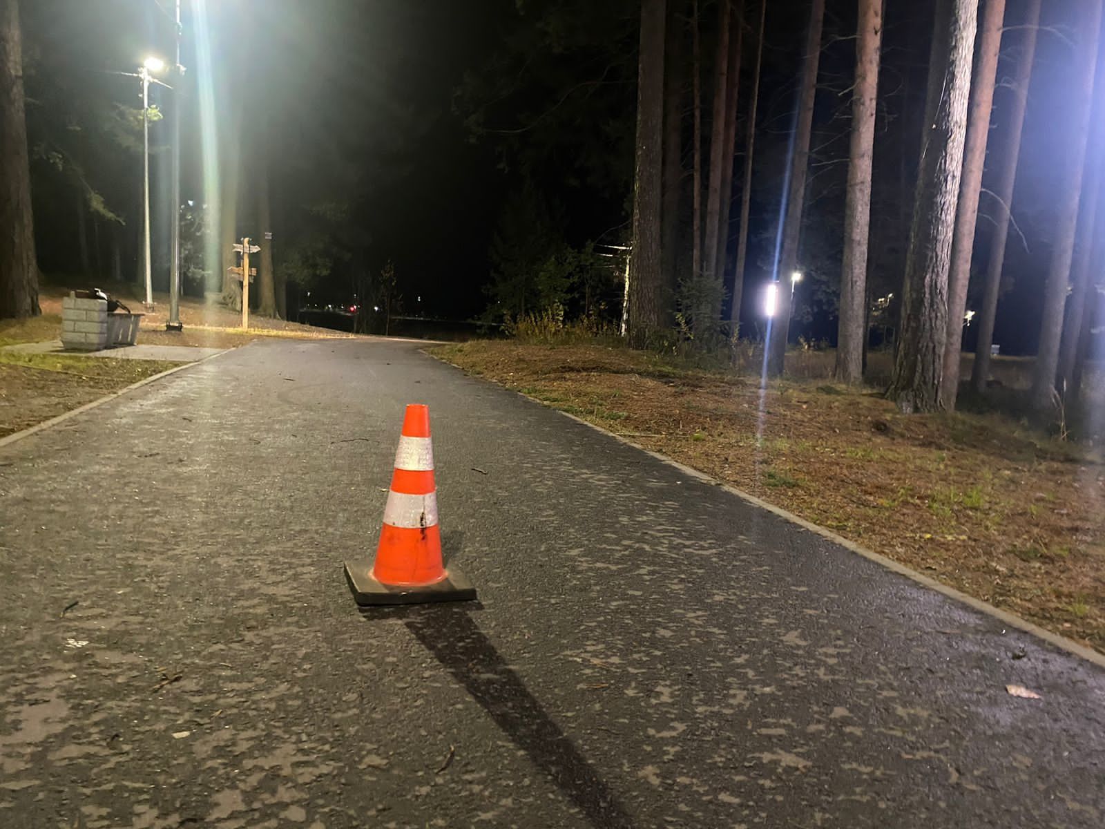 В Карелии ищут водителя, который сбил пешехода в парке и уехал