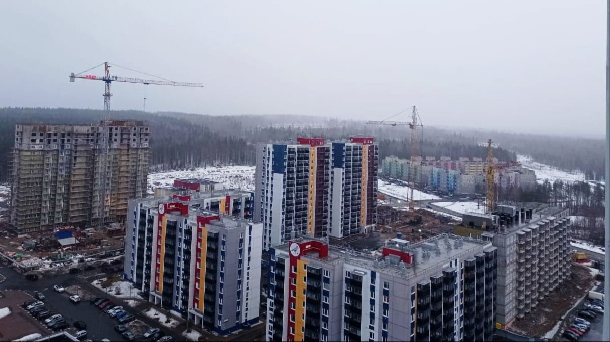 В границы Петрозаводска из Лесного фонда вернулись ранее исключенные и уже выделенные горожанам и юрлицам земельные участки