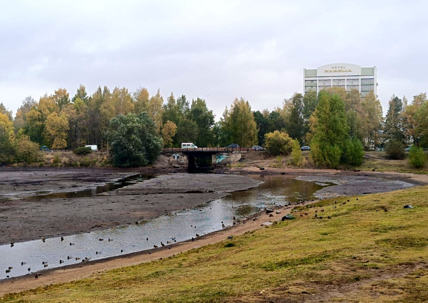 Названа причина обмелевшей в Петрозаводске реки Лососинки