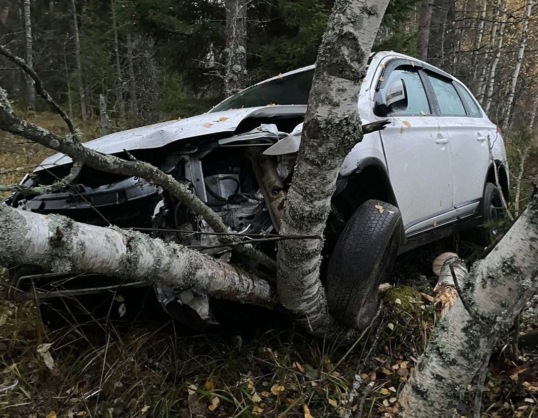 В Карелии японская иномарка вылетела в кювет и врезалась в дерево