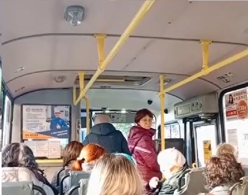 В Петрозаводске водитель маршрутки обругал матом пенсионеров в день пожилого человека