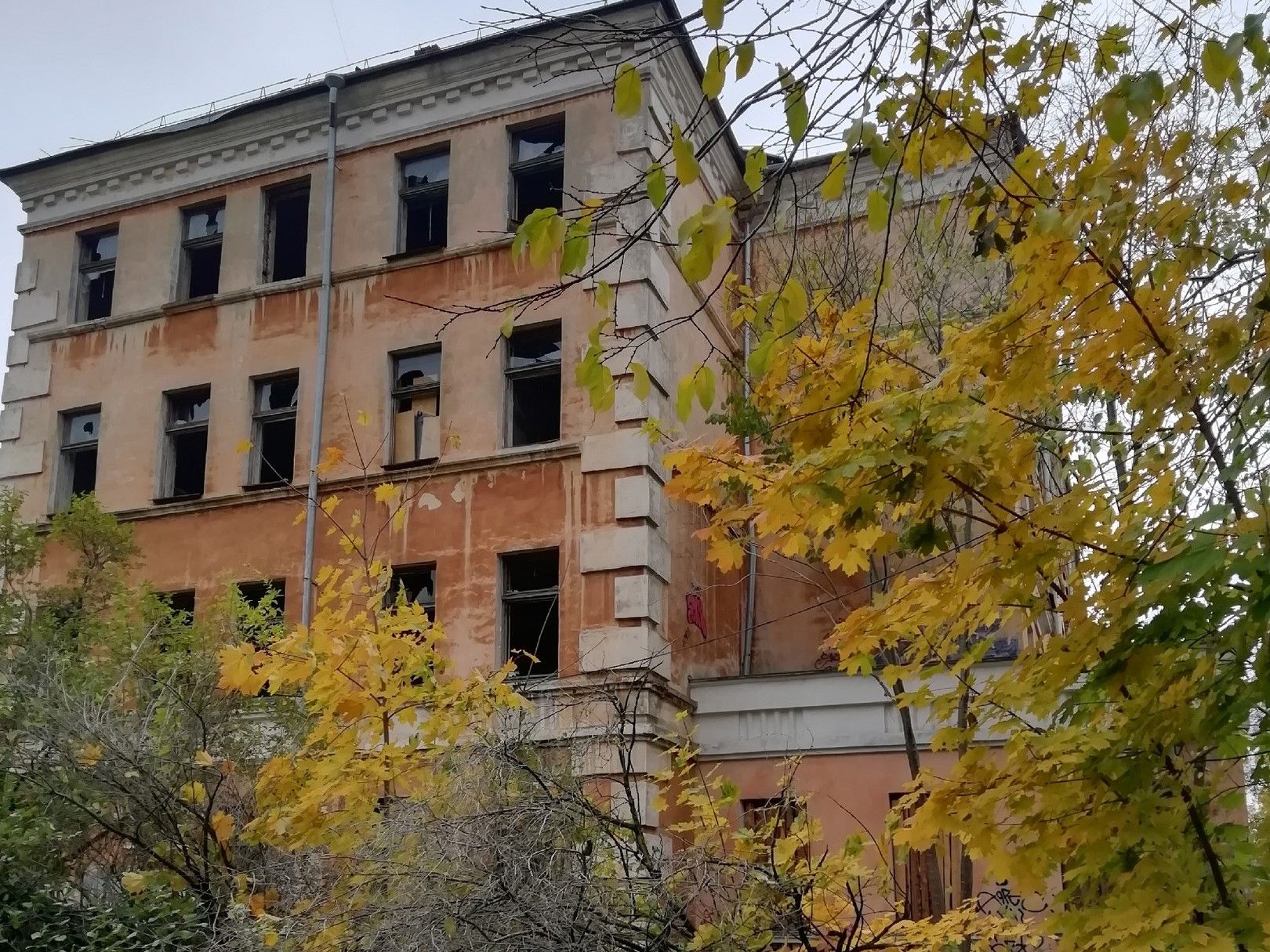 О планах на аварийное здание школы в центре Петрозаводска рассказал глава Карелии