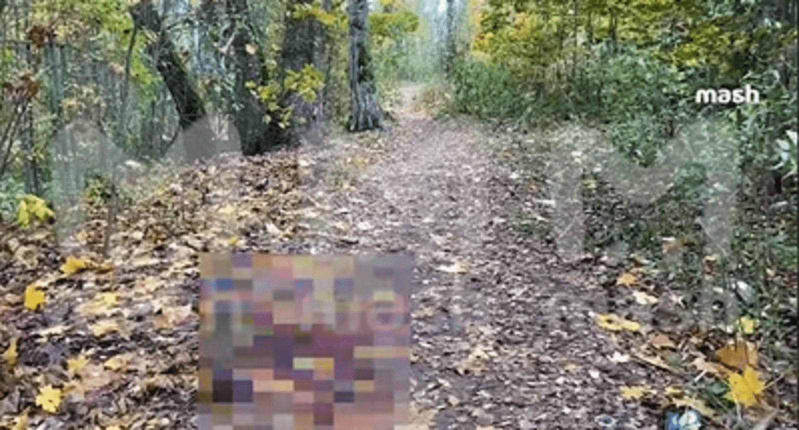 Семейную пару расстреляли из-за конфликта по поводу парковки в Подмосковье