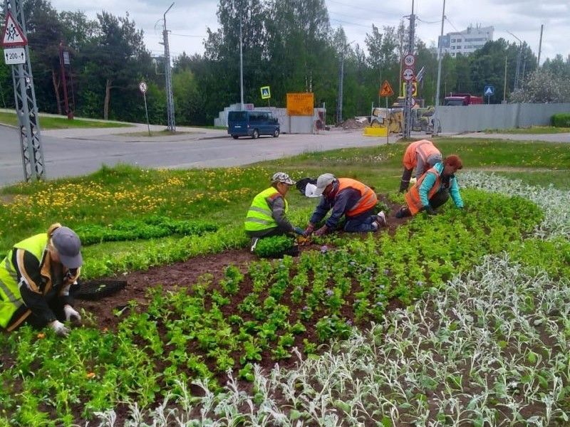 Карельские работодатели обучили для себя около 300 человек