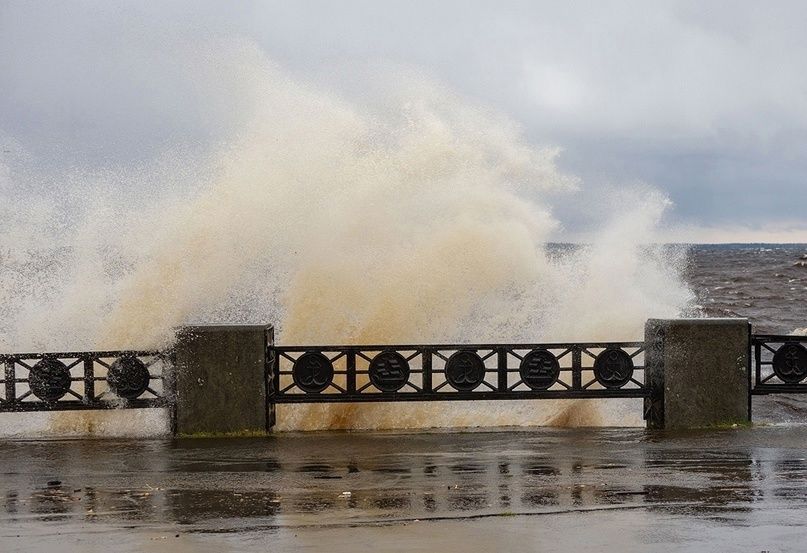 В Карелии поднимется сильный ветер