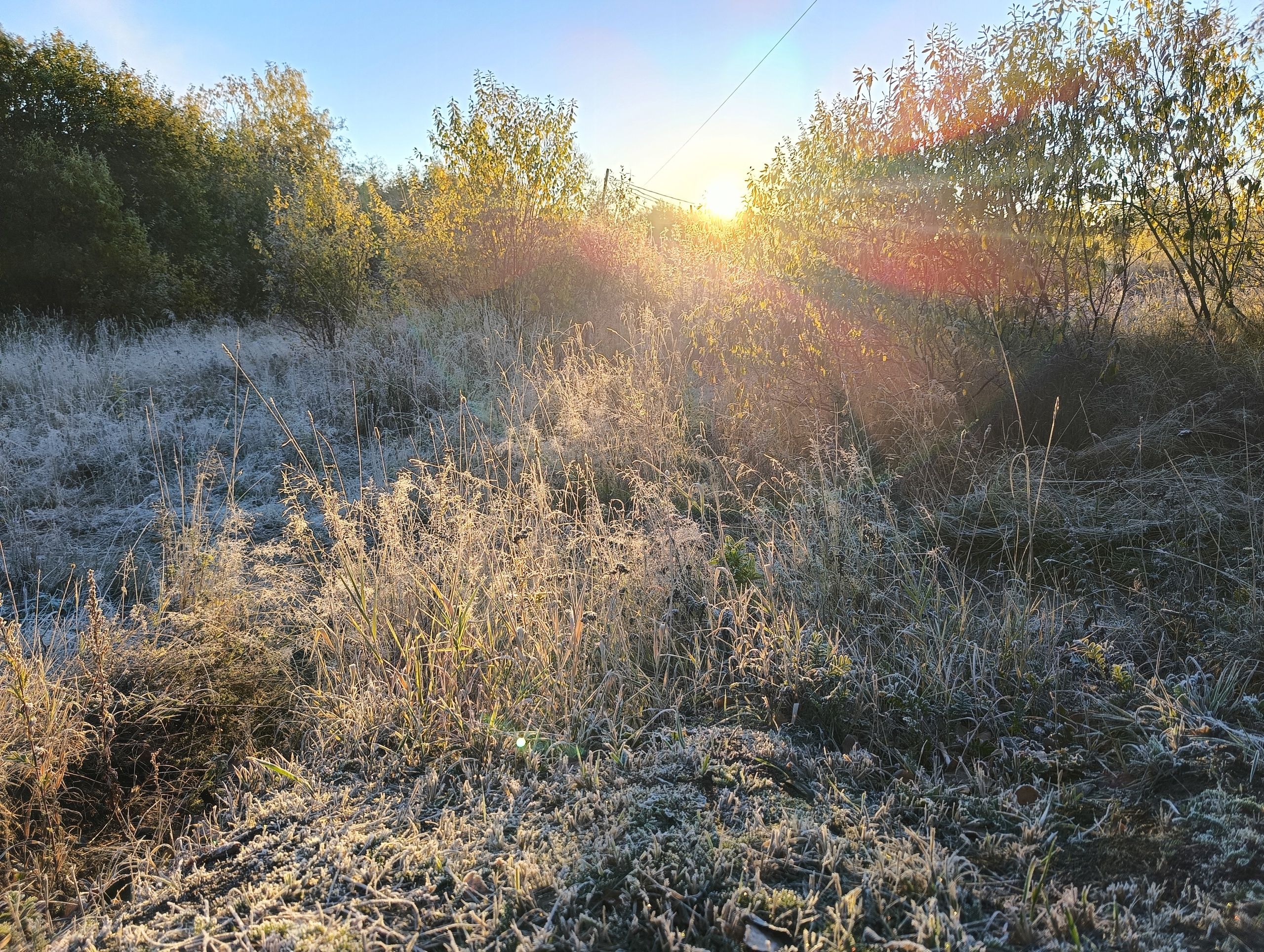 Местами до минус 6. Прогноз погоды в Карелии на 2 октября