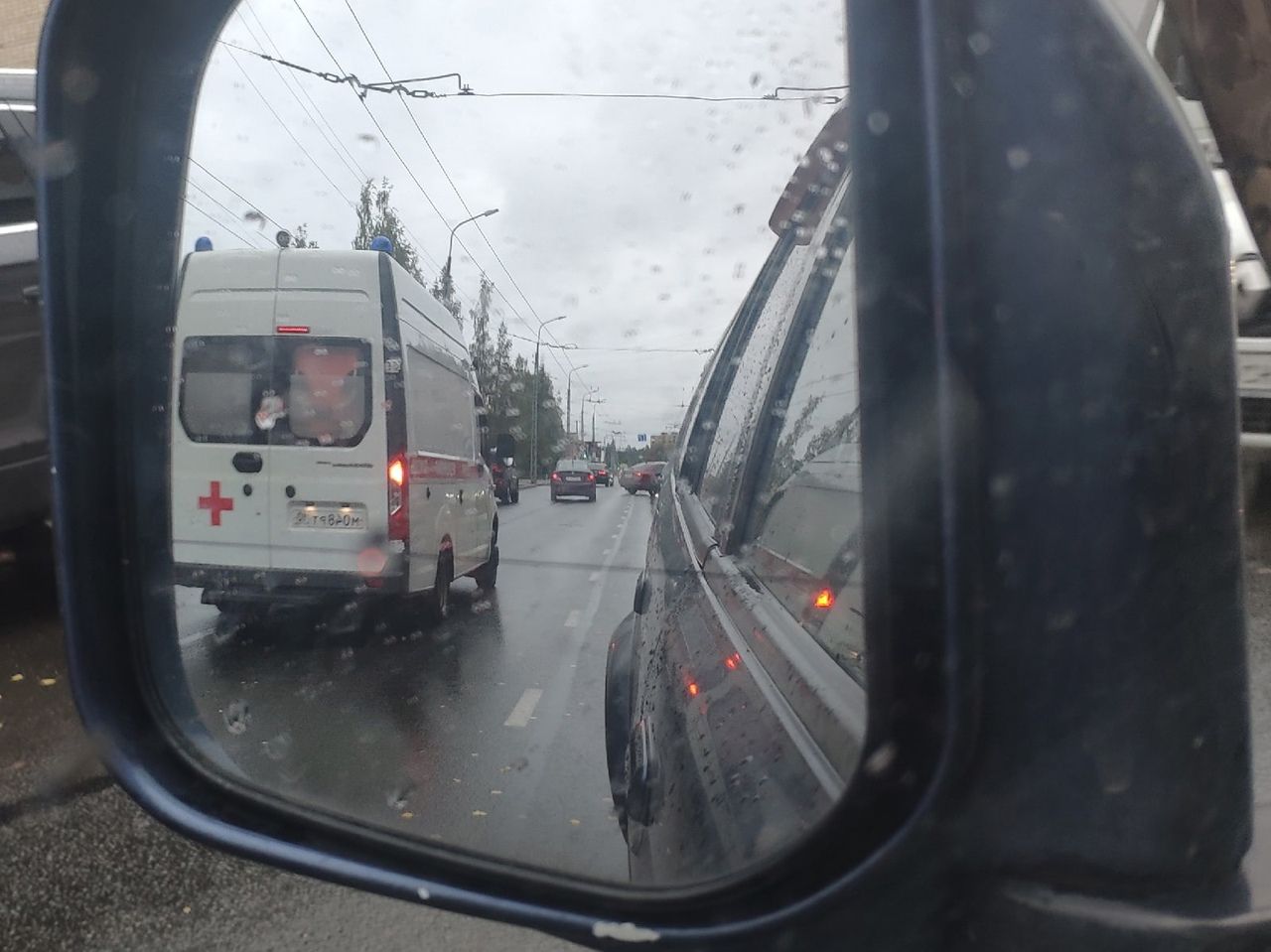 Ссора сожителей в Петрозаводска завершилась убийством