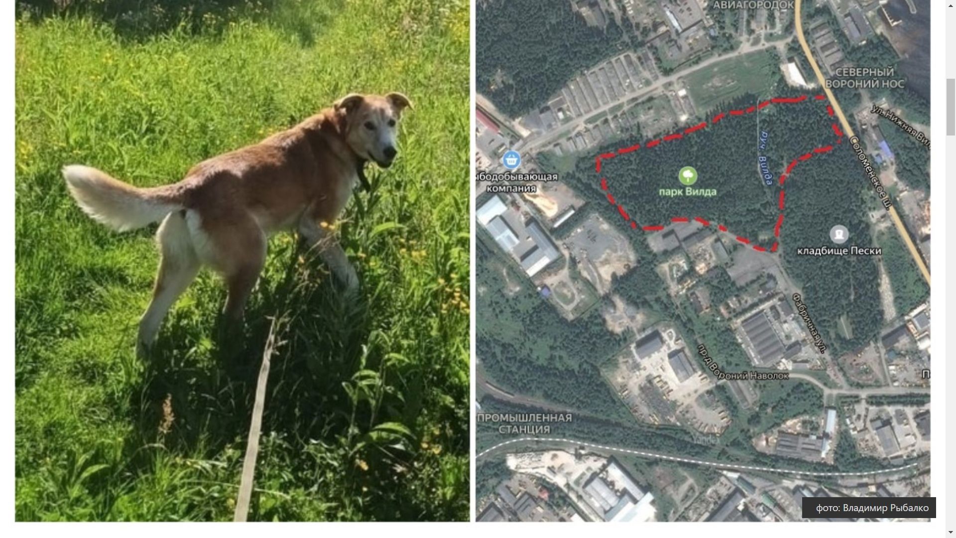 Общественники в Петрозаводске выступили против строительства камнеобрабатывающего предприятия в Песках