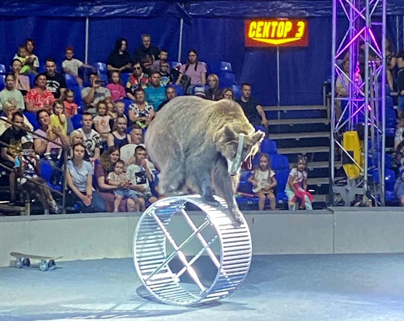 Госдума рассмотрит закон, запрещающий животных в цирках