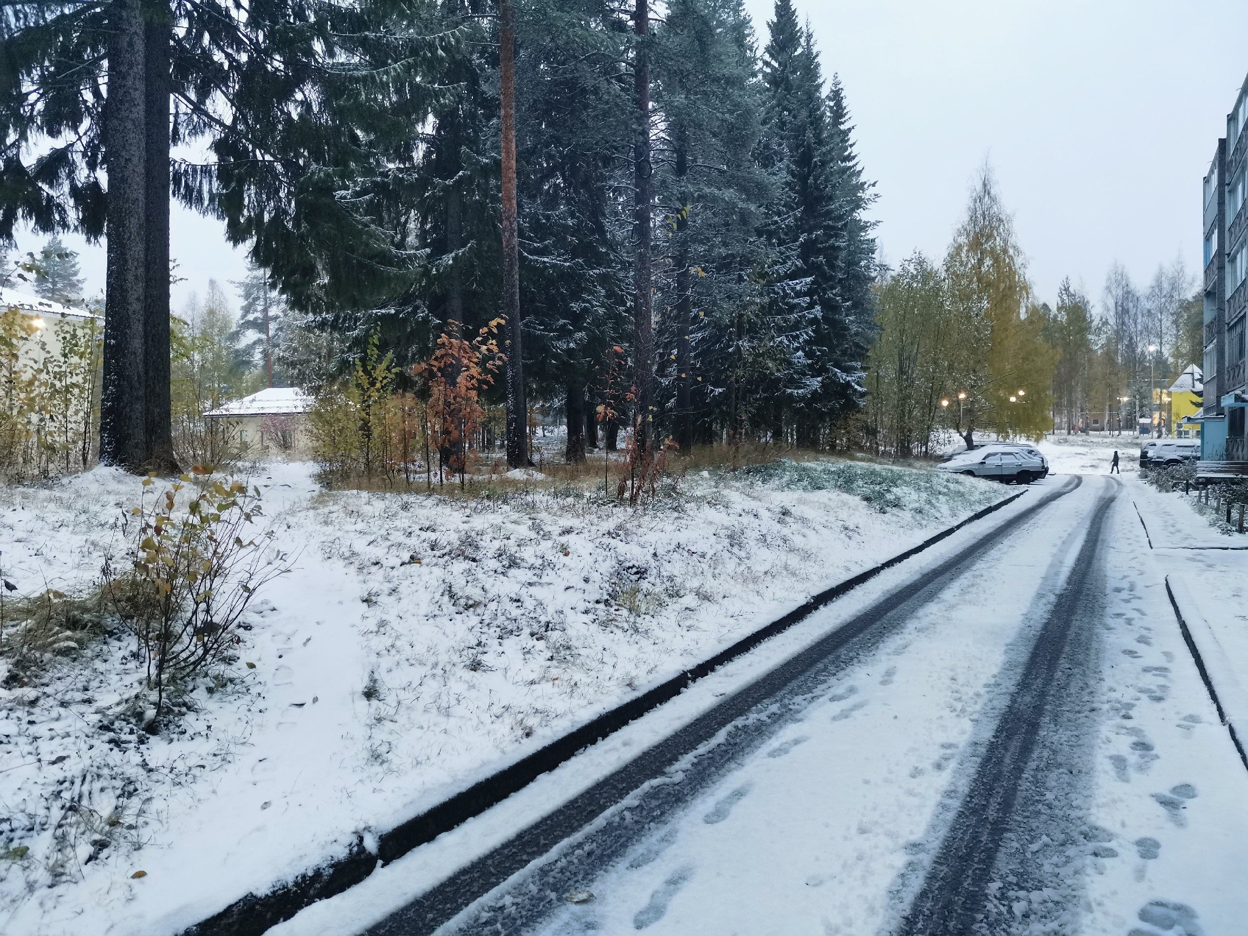 На севере Карелии выпал снег