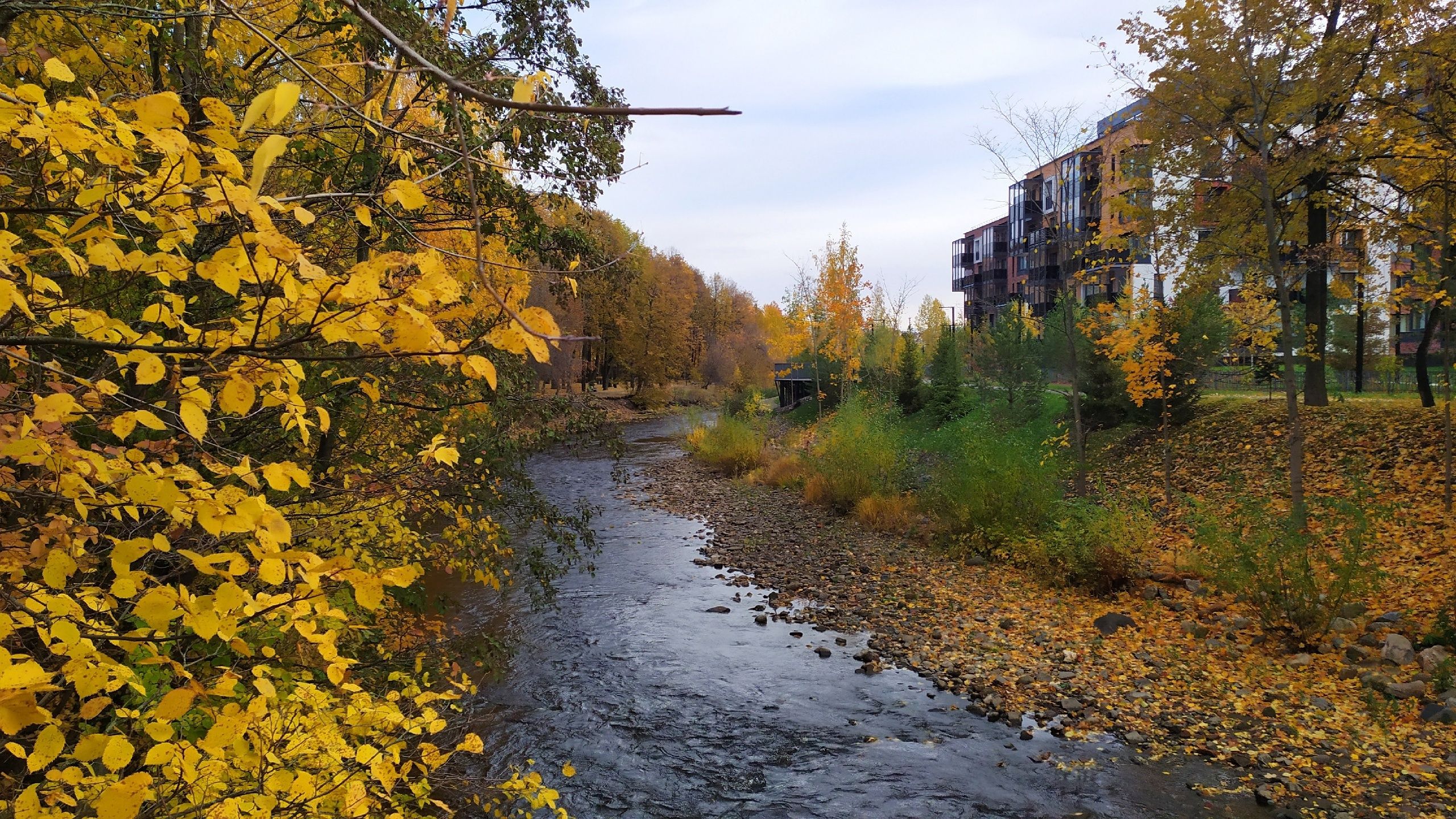 До +11°С, небольшой дождь. Прогноз погоды на 21 октября,
