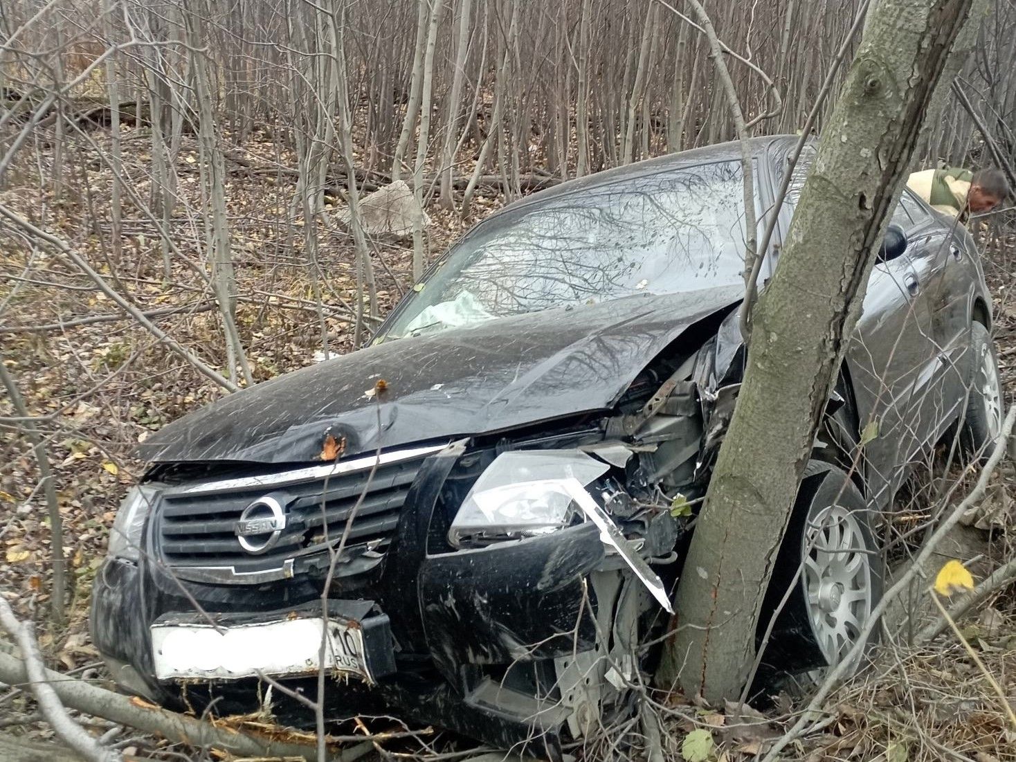Пенсионерка не справилась с управлением и врезалась в дерево в Петрозаводске