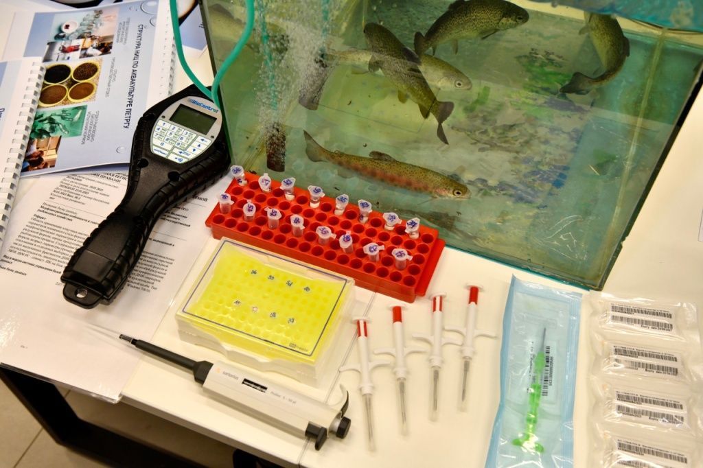 Карелия опустилась на 10 позиций в рейтинге достижений в сфере научных исследований