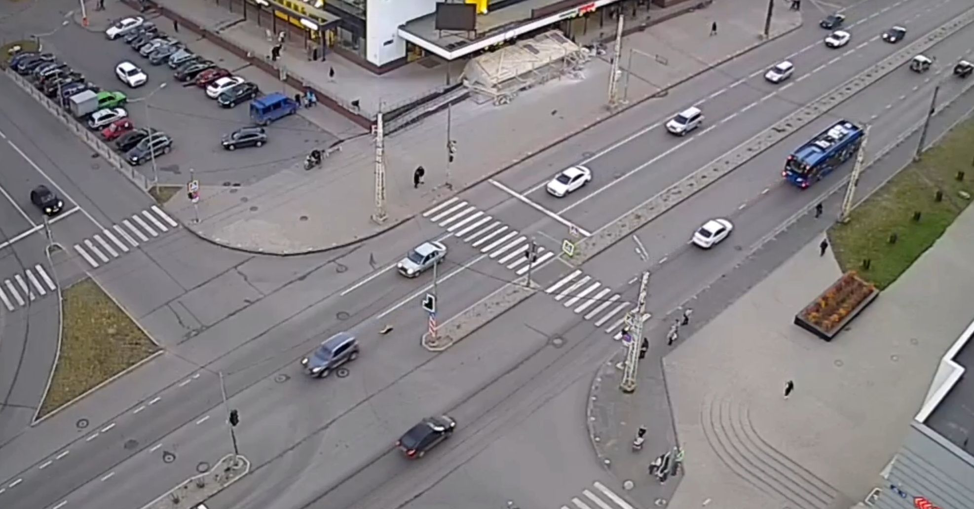 В Петрозаводске водитель сбил собаку на пешеходном переходе и уехал