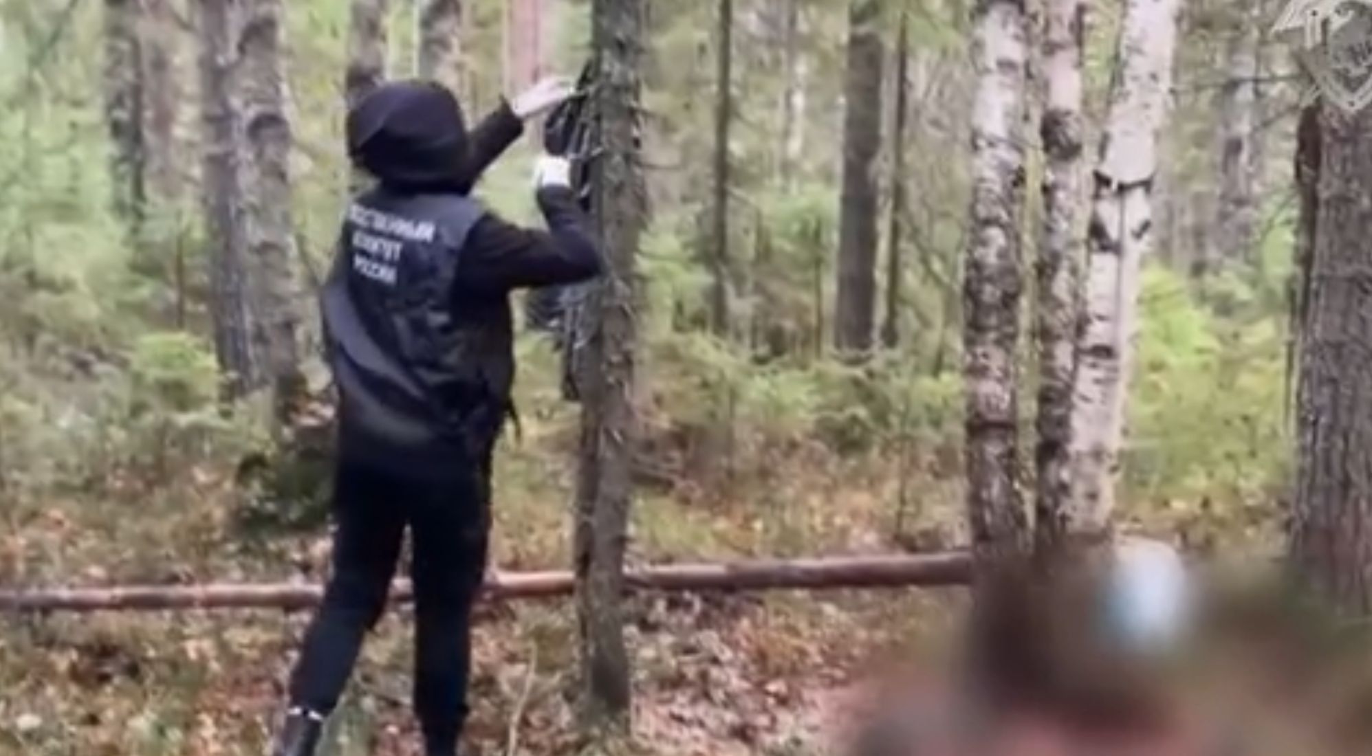 В Карелии обнаружили останки пропавшего ранее молодого мужчины