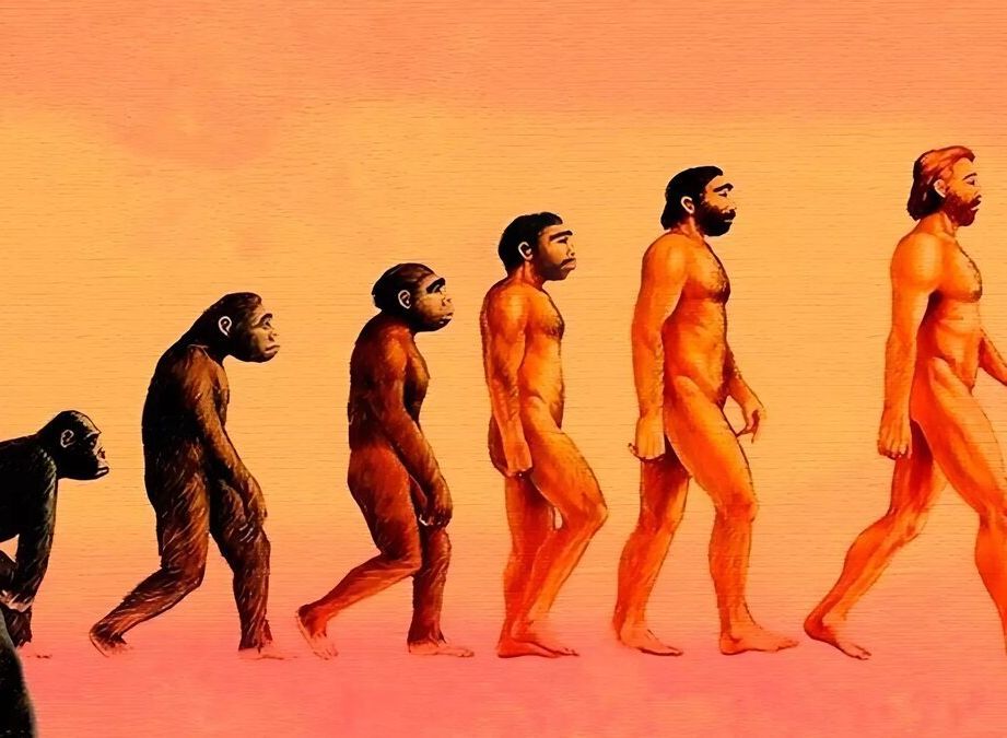 Академия наук осудила инициативу по исключению изучения теории Дарвина из школьной программы