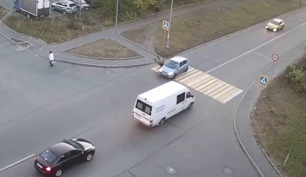 В Петрозаводске на пешеходном переходе жестко сбили мужчину