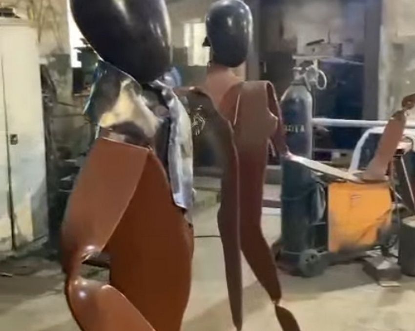 В Петрозаводске появится новый арт-объект «Хоровод»