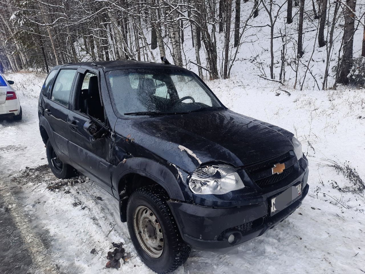 Десятилетний пассажир пострадал в ДТП на трассе в Карелии